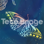 Illustration Scratch-art butterfly Digital art and illustration for your business