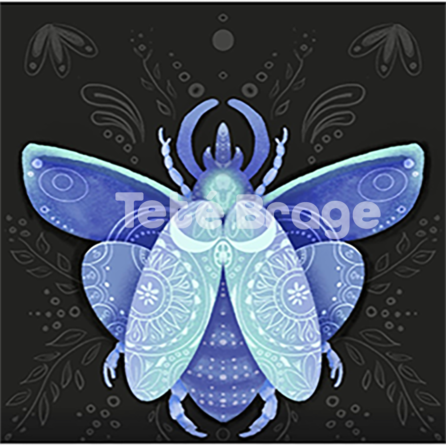ilustración mystical beetle Digital art and illustration for your business